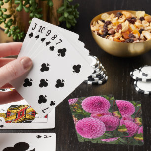 Rosa Boll Dahlias Blommigt Casinokort