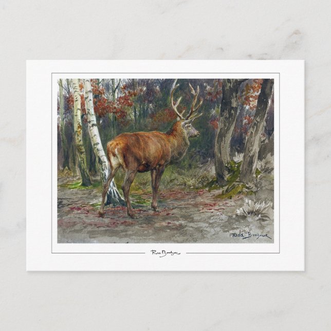 Rosa Bonheur #135 - Finkonst Vykort (Framsida)