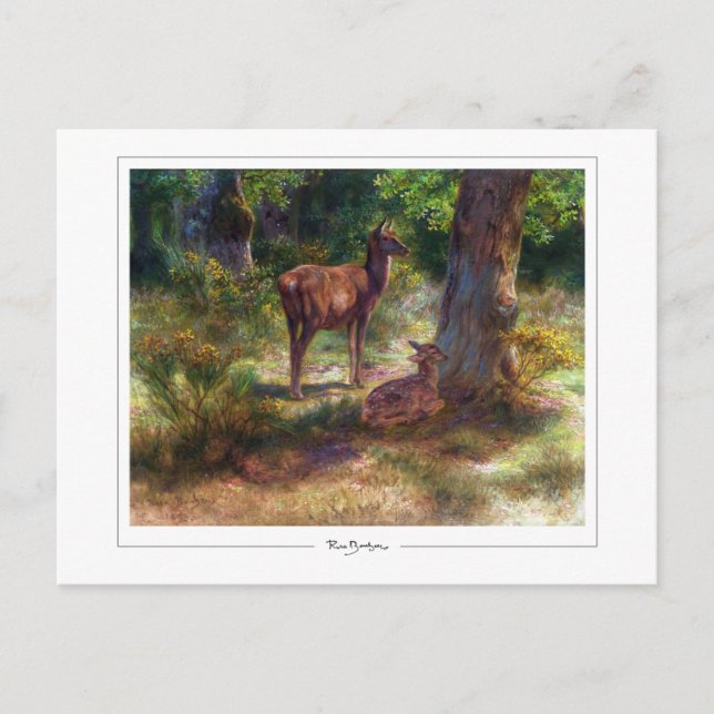 Rosa Bonheur #16 - Finkonst Vykort (Framsida)