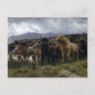 Rosa Bonheur Highland Raid Vykort