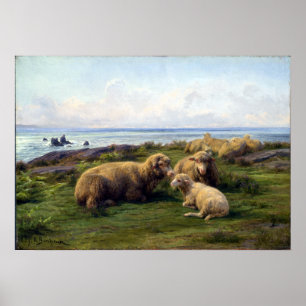 Rosa Bonheur Sheep vid havet Poster