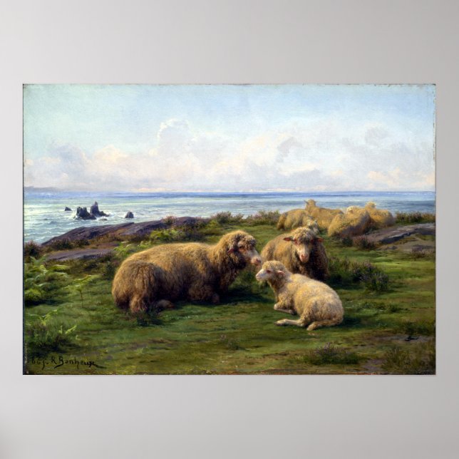Rosa Bonheur Sheep vid havet Poster (Framsidan)