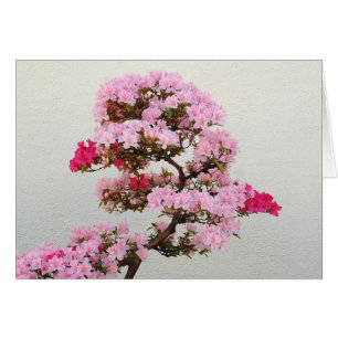 Rosa Bonsai Träd Hälsningskort