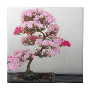 Rosa Bonsai Träd Kakelplatta