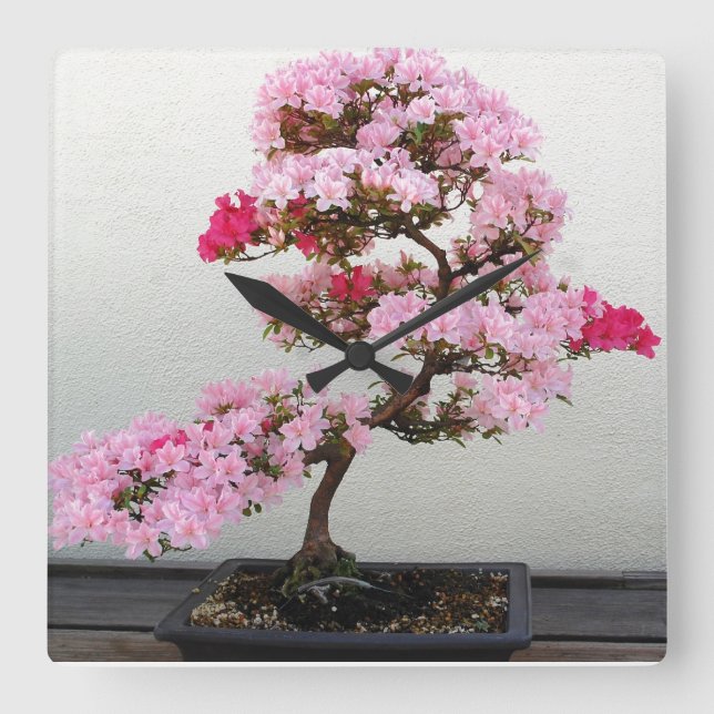Rosa Bonsaiträd väggur (Framsida)