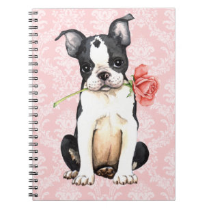 Rosa Boston för valentin Terrier Anteckningsbok Med Spiral