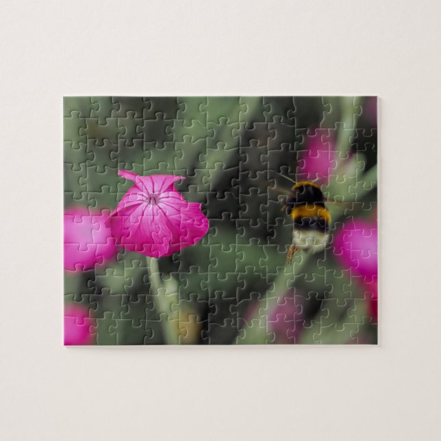 Rosa botaniskt blommotiv med binaturfotografi pussel (Horisontell)