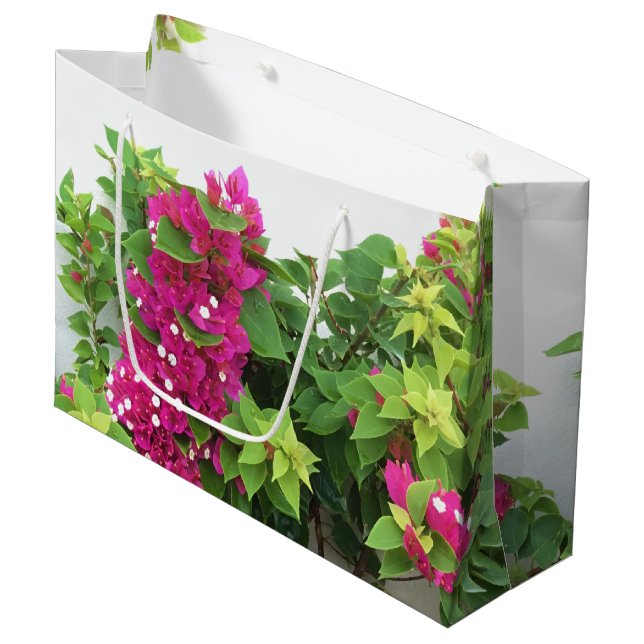 Rosa Bougainvillea (Framsidan Vinklad)
