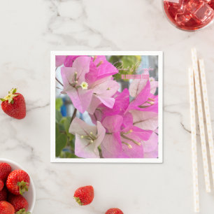 rosa bougainvillea eller papper blomma, tropiska pappersservett