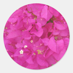 Rosa Bougainvilleablomma (Grekland) Runt Klistermärke