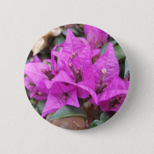 Rosa Bougainvilleablommor knäppas Knapp