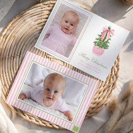Rosa Bow Ginger Burk Julgran Photo Julkort