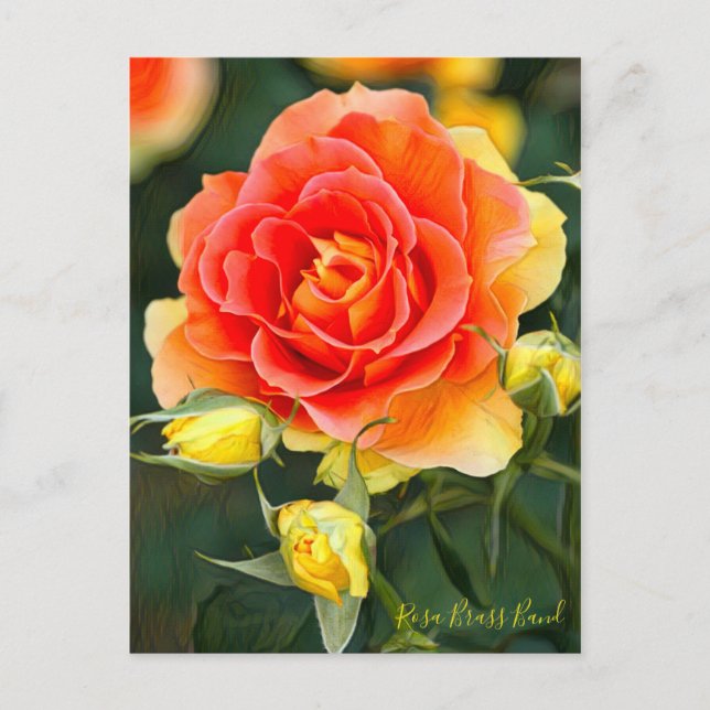 Rosa Brass Band [vykort] Vykort (Framsida)