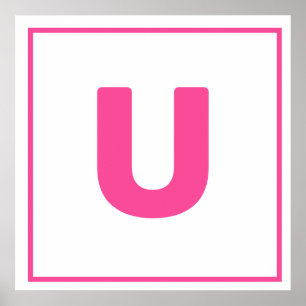 Rosa brev U Poster