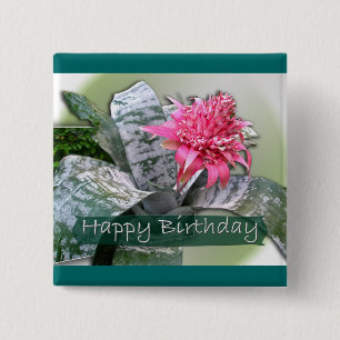 Rosa Bromeliad Knapp