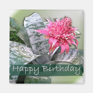 Rosa Bromeliad Magnet