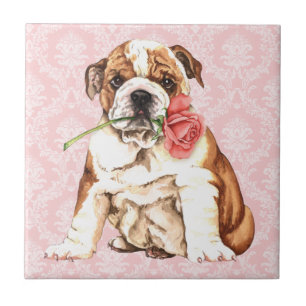 Rosa bulldogg för valentin kakelplatta