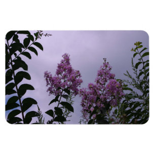 Rosa Bunch of Flowers Magnet