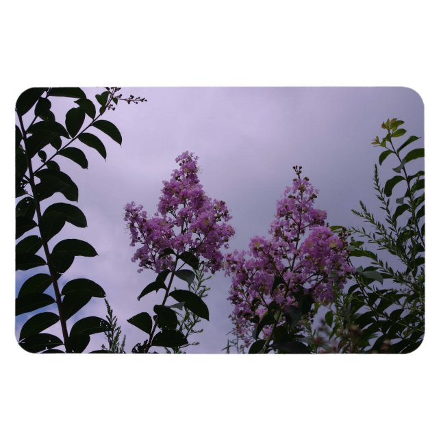 Rosa Bunch of Flowers Magnet (Horisontell)