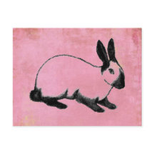 Rosa Bunny vykort