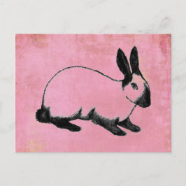 Rosa Bunny vykort