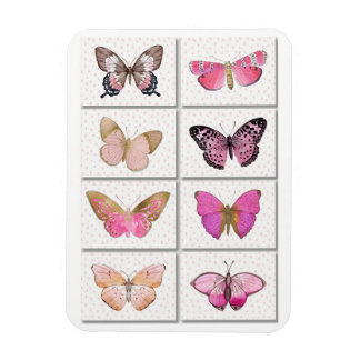 rosa butterflies magnet