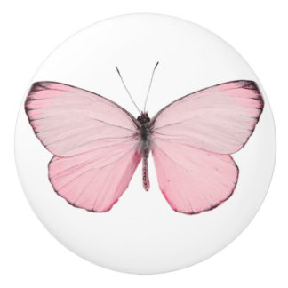 Rosa Butterfly-låda eller dörrknapp Knopp