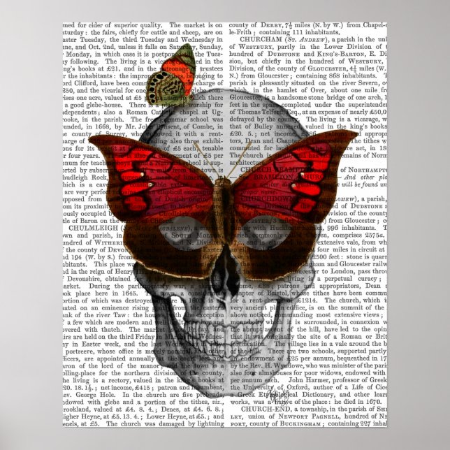 Rosa Butterfly Mask Skull Poster (Framsidan)