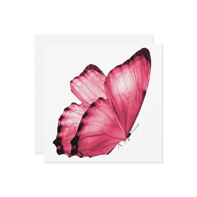 Rosa Butterfly Notecard (Fram/Back In Situ)