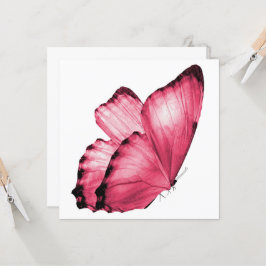 Rosa Butterfly Notecard