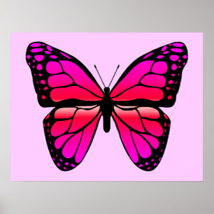Rosa Butterfly Poster