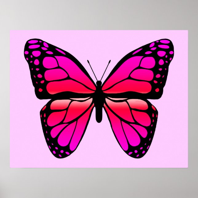 Rosa Butterfly Poster (Framsidan)