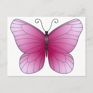 Rosa Butterfly-vykort Vykort