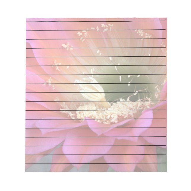 Rosa cactus blomma i öknen anteckningsblock (Framsida)