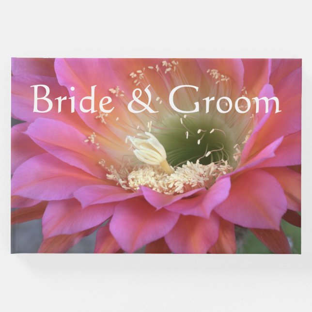 Rosa cactus blomma i öknen gästböcker (Framsida)