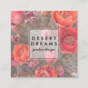 Rosa Cactus Flower Desert Garden Photo Travel Fyrkantigt Visitkort