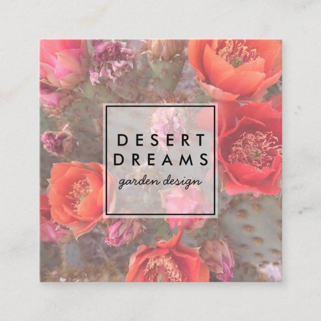 Rosa Cactus Flower Desert Garden Photo Travel Fyrkantigt Visitkort (Framsida)