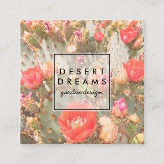 Rosa Cactus Flower Desert Garden Photo Travel Fyrkantigt Visitkort