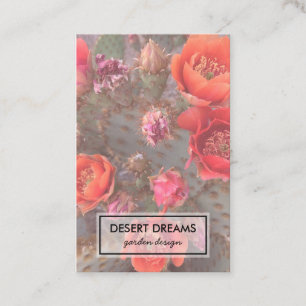 Rosa Cactus Flower Desert Garden Photo Travel Visitkort
