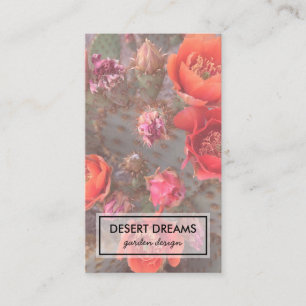 Rosa Cactus Flower Desert Garden Photo Travel Visitkort