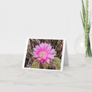 Rosa Cactus Flower Folke Blank any Tillfälle Card Tack Kort