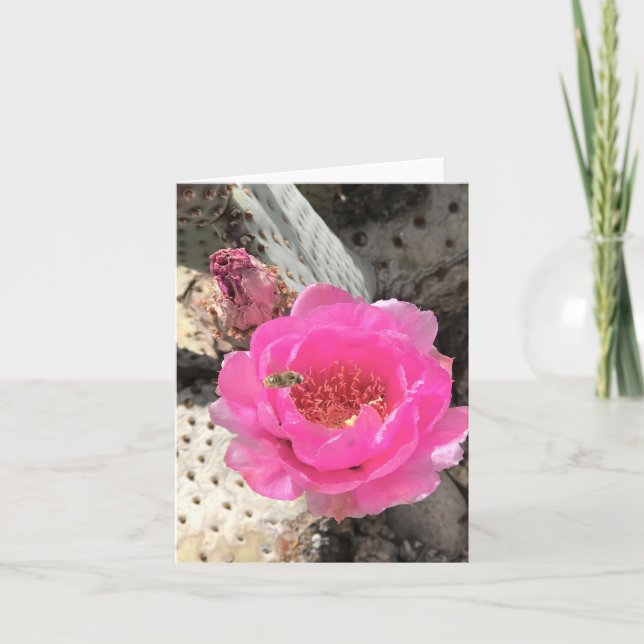 Rosa Cactus Flower med bianteckningskort Tack Kort (Framsida)