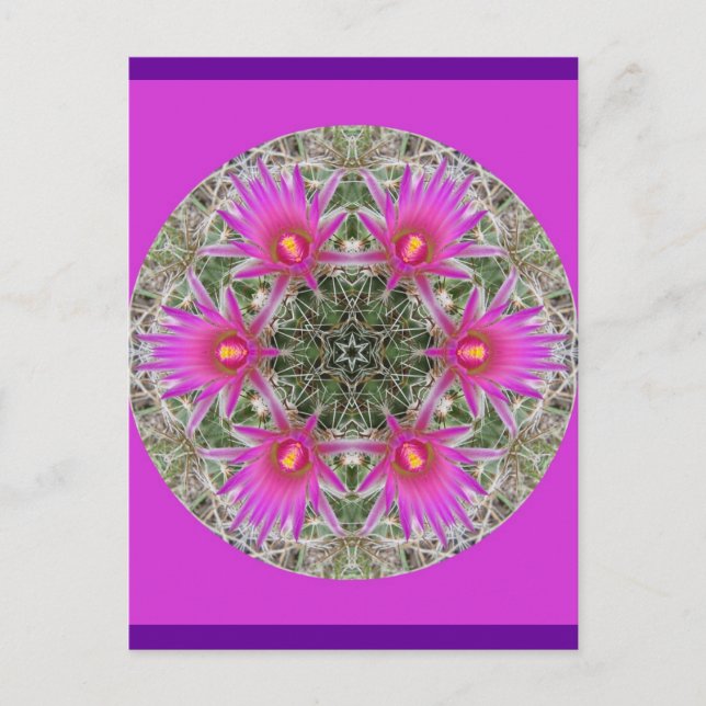 Rosa Cactus Flower Vykort (Framsida)