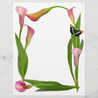 Rosa Calla Lilies