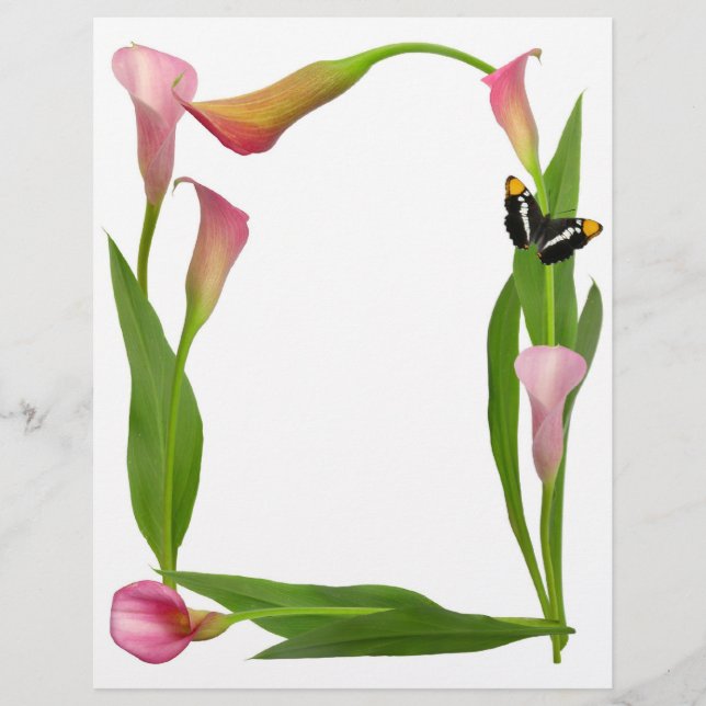 Rosa Calla Lilies (Framsida)