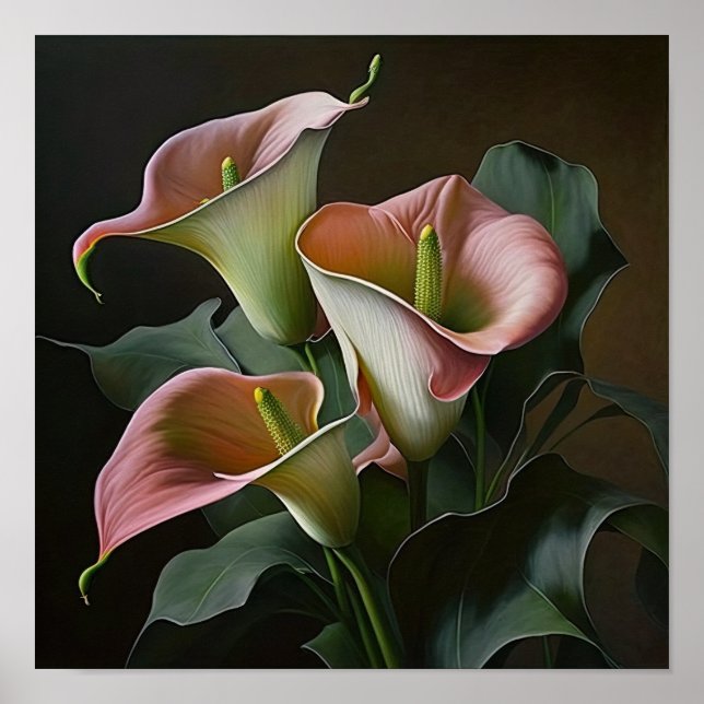 Rosa Calla Lilies Lily Flower Art Print Poster (Framsidan)
