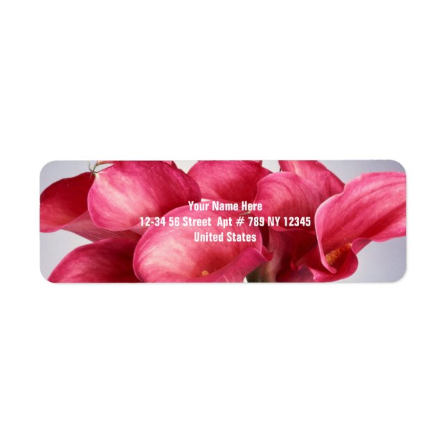 Rosa Calla Lilies Returadress Etikett (Framsidan)