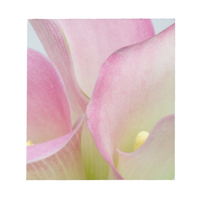 Rosa Calla Liljor Anteckningsblock (Framsida)