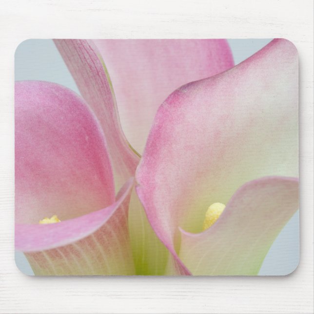 Rosa Calla Liljor Musmatta (Framsidan)