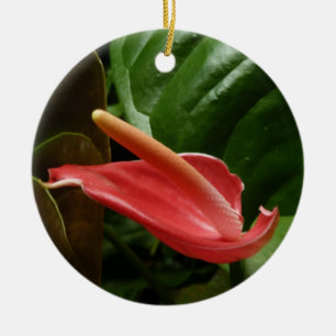 Rosa Calla Lily Elegant Blommigt Julgransprydnad Keramik